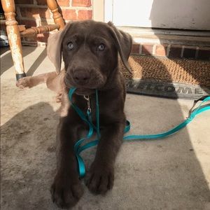 Meet your Posher, Amy